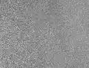 Bild 1 von d-c-fix Klebefolie Metallic Glitter Grau