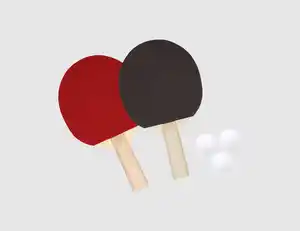 Tischtennis-Set