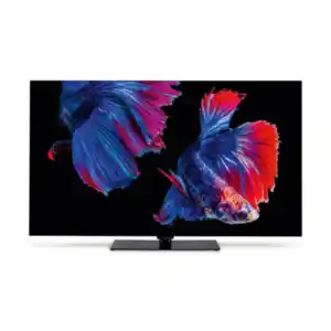 Medion 55' (139,7cm) Oled Android TV – Energieeffizienzklasse F