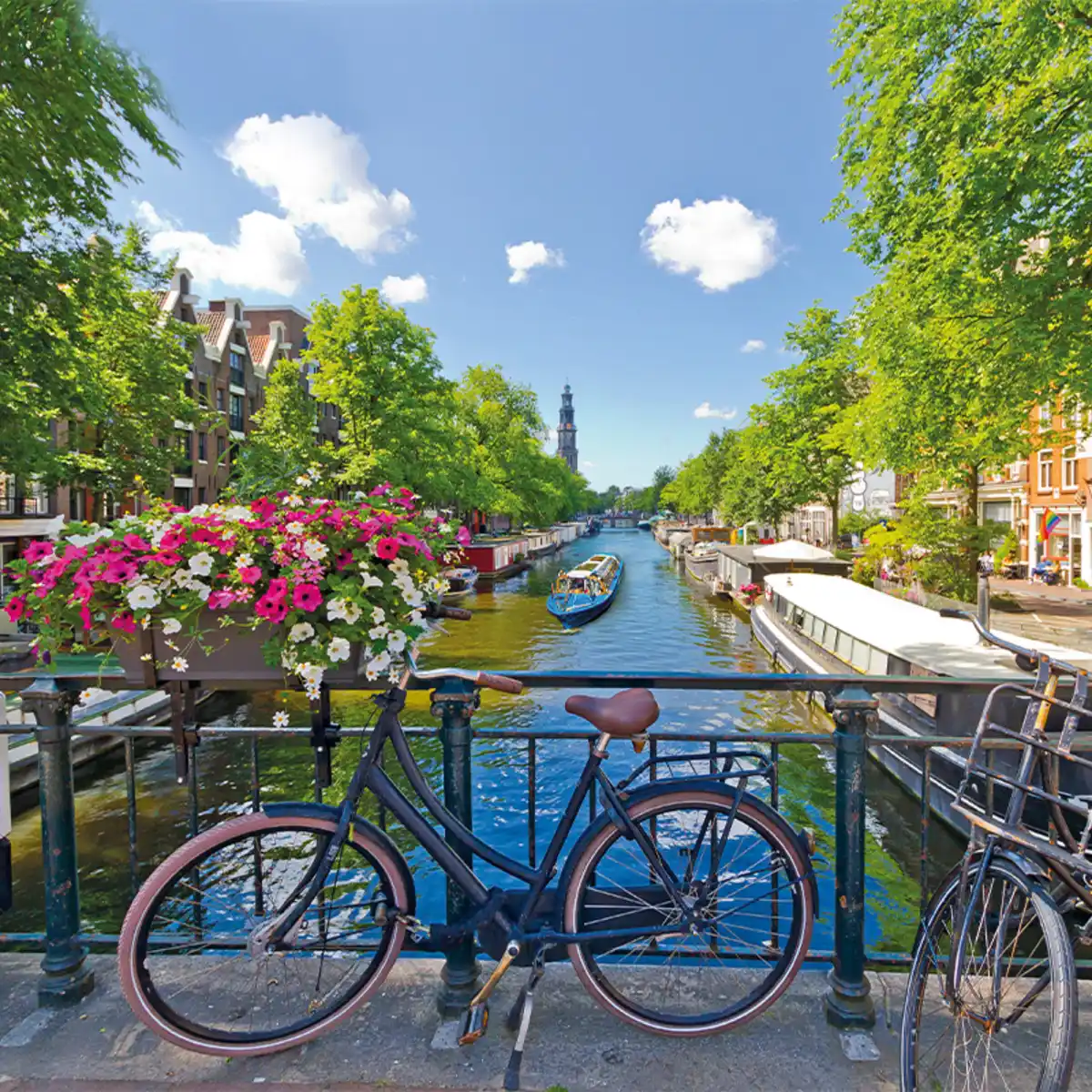 Bild 1 von Holland zum Verlieben