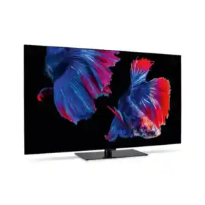 Medion 65' (165,1cm) Oled Android TV – Energieeffizienzklasse F