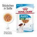 Bild 1 von ROYAL CANIN Mini Puppy 12x85g