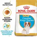 Bild 1 von ROYAL CANIN Cavalier King Charles Puppy 1,5kg