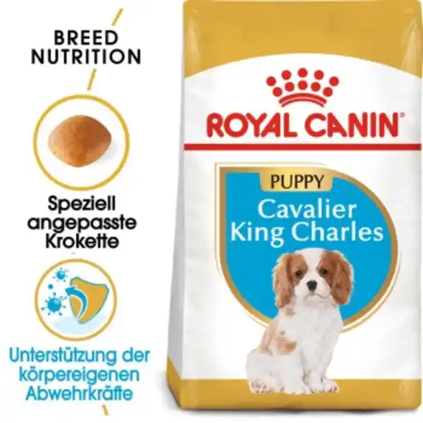Bild 1 von ROYAL CANIN Cavalier King Charles Puppy 1,5kg