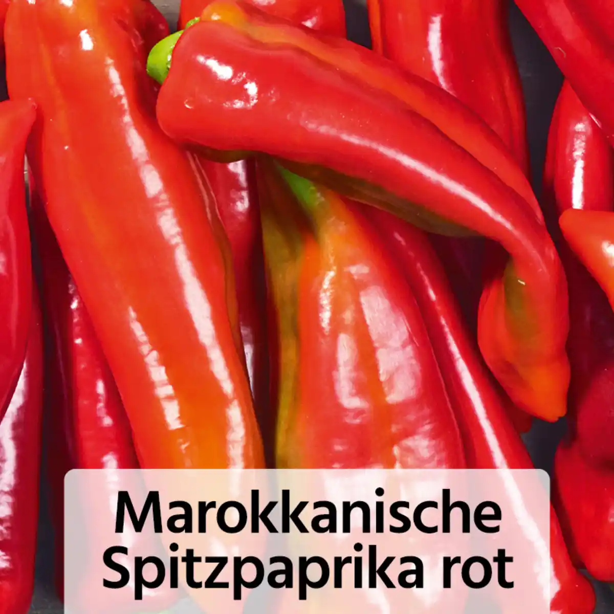 Bild 3 von Fruchtgemüse / Tomaten