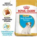 Bild 1 von ROYAL CANIN Jack Russel Terrier Puppy 1,5 kg