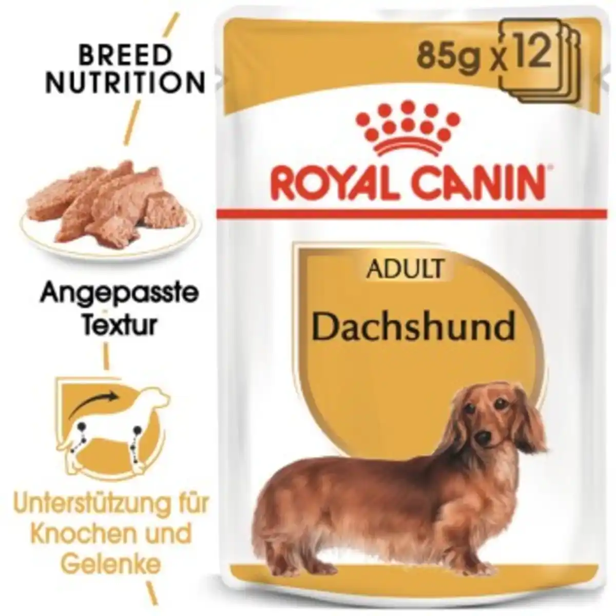 Bild 1 von ROYAL CANIN Dachshund Adult Mousse 12x85 g