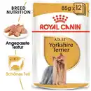 Bild 1 von ROYAL CANIN Yorkshire Terrier Adult Mousse 12x85 g
