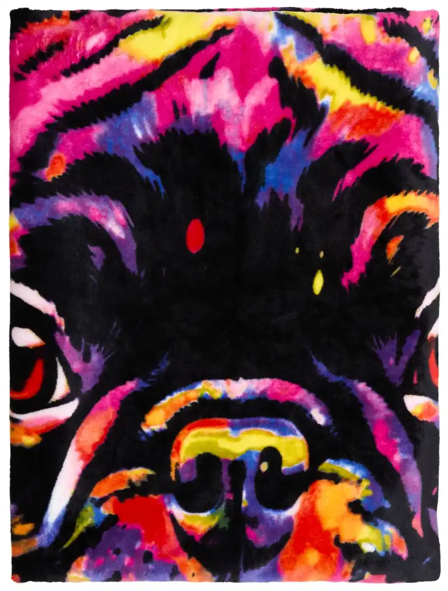 Bild 2 von DREAM@HOME Mikrofaser-Kuscheldecke