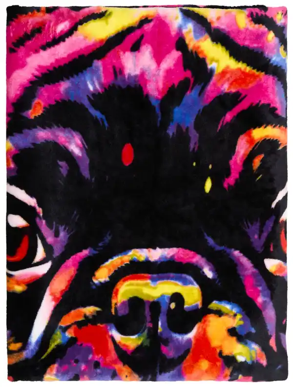 Bild 2 von DREAM@HOME Mikrofaser-Kuscheldecke