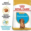 Bild 1 von ROYAL CANIN Dachshund Puppy 1,5 kg