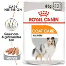 Bild 1 von ROYAL CANIN Coat Care Adult Mousse 12x85 g