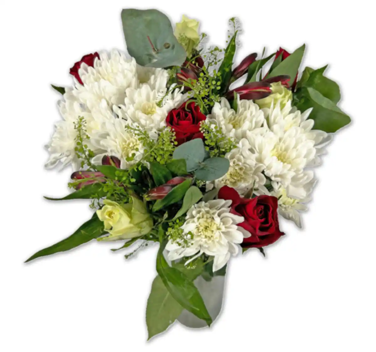 Bild 1 von Fairtrade Strauß Whisper*