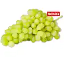 Bild 1 von Helle kernlose Tafeltrauben