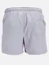 Bild 2 von Jack&Jones JPSTNAXOS JJSWIM SHOR Lila