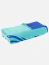 Bild 2 von Strandtuch mit Delphin Blau