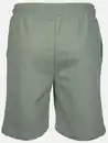 Bild 2 von Herren Sweatshorts Grün