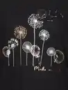 Bild 3 von Damen Shirt mit Pusteblumenprint Schwarz