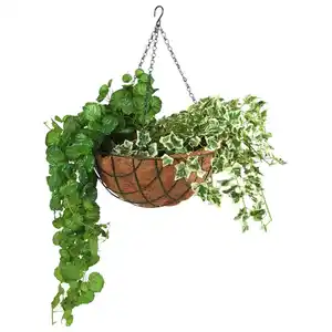 Blumenampel mit Kokos-Pflanzeinlage 35cm