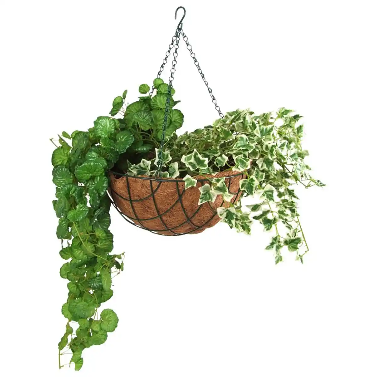 Bild 1 von Blumenampel mit Kokos-Pflanzeinlage 35cm