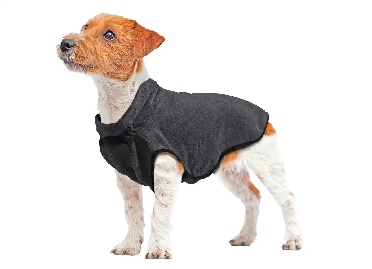 Bild 1 von Hundebademantel mit Rollkragen