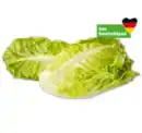 Bild 1 von Deutsche Romana-Salatherzen