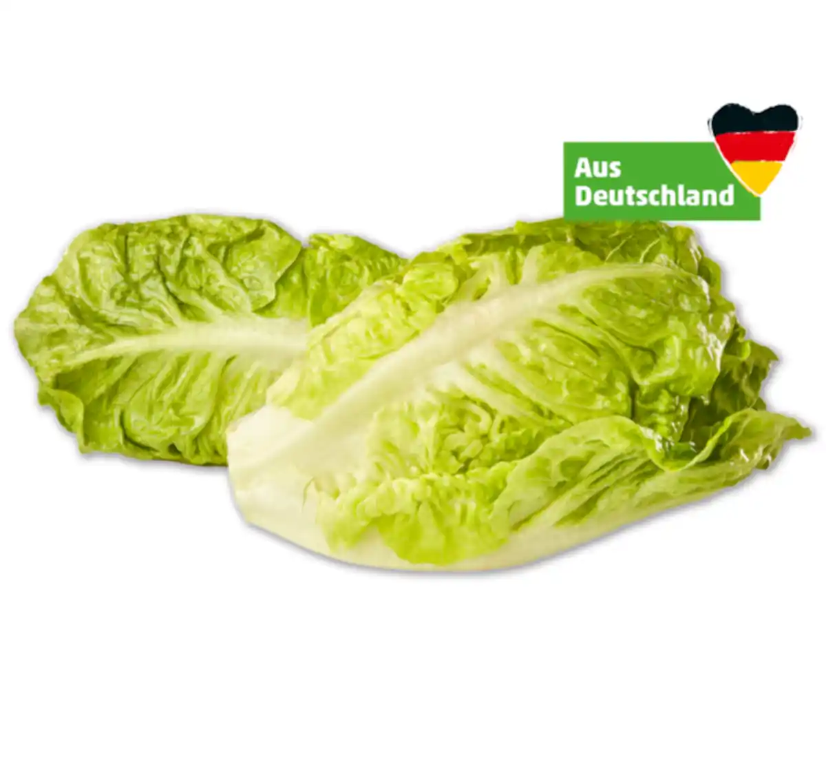 Bild 1 von Deutsche Romana-Salatherzen