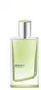 Bild 1 von JIL SANDER Evergreen Eau de Toilette, 30 ml