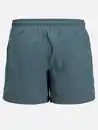 Bild 2 von Jack&Jones JPSTNAXOS JJSWIM SHOR Blau