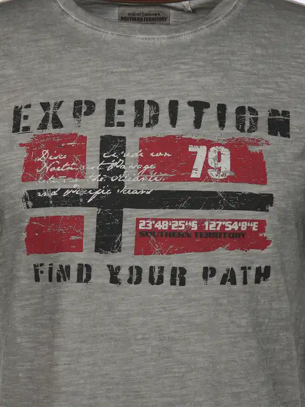 Bild 3 von Herren Shirt mit Frontprint Grau