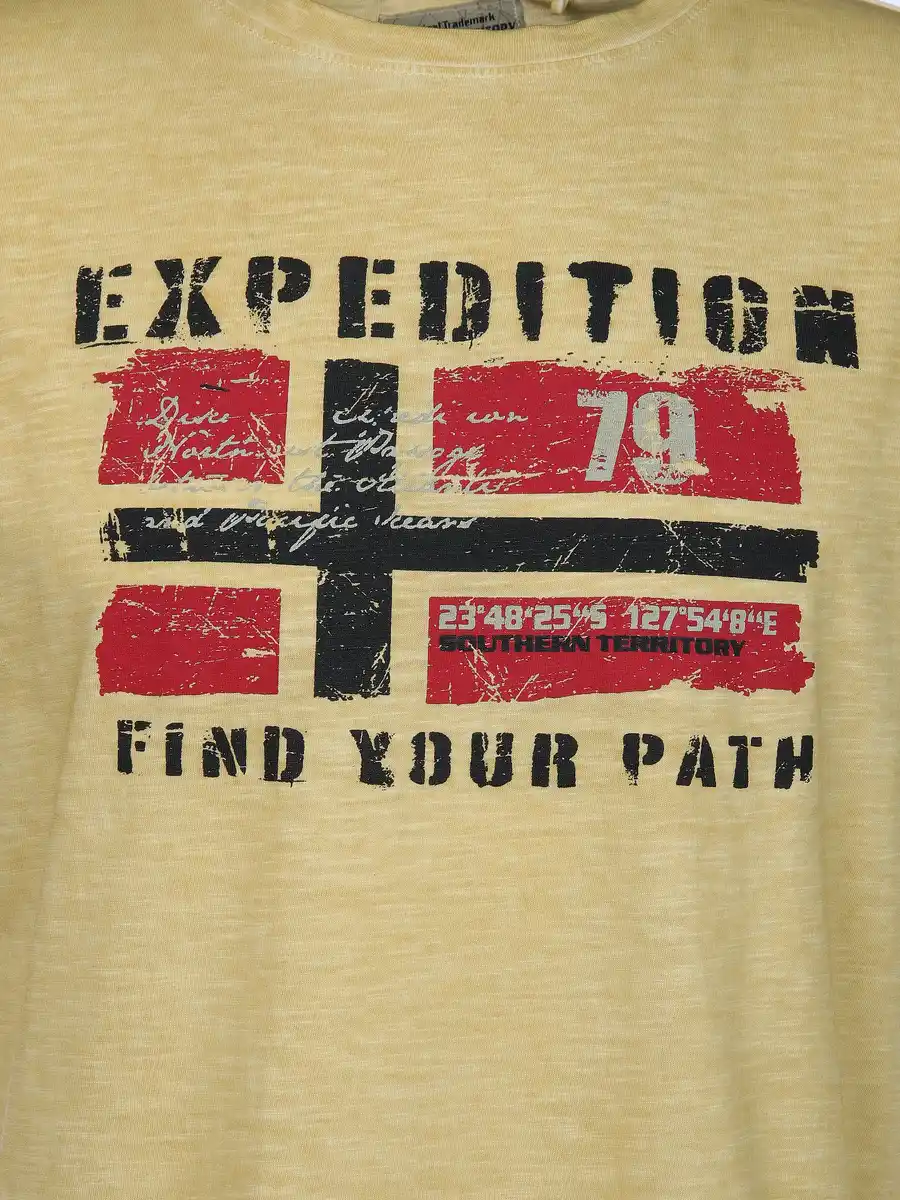 Bild 3 von Herren Shirt mit Frontprint Gelb