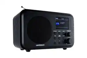 DAB Radio & Farbdisplay DR 300