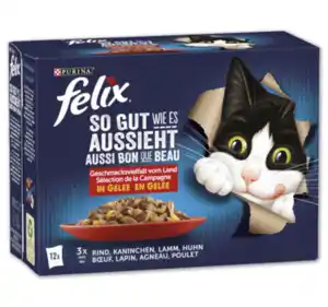 FELIX So gut wie es aussieht