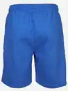 Bild 2 von Herren Sweatshorts Blau