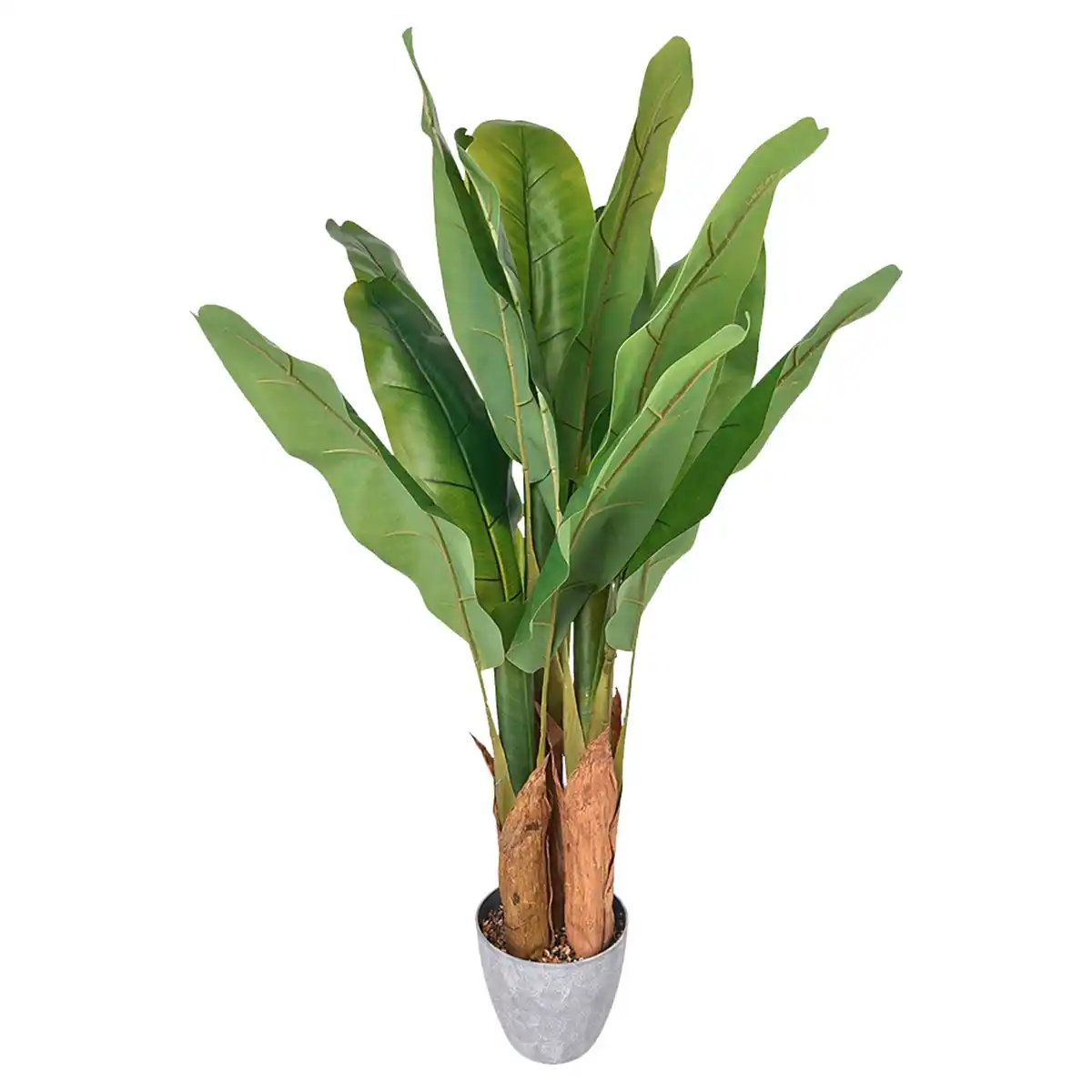 Bild 1 von HOME CREATION Künstliche Pflanze