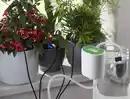 Bild 4 von IDEENWELT Indoor-Bewässerungssystem