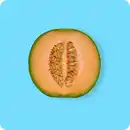 Bild 1 von   Cantaloupe Melone, Ursprung: Spanien / Italien