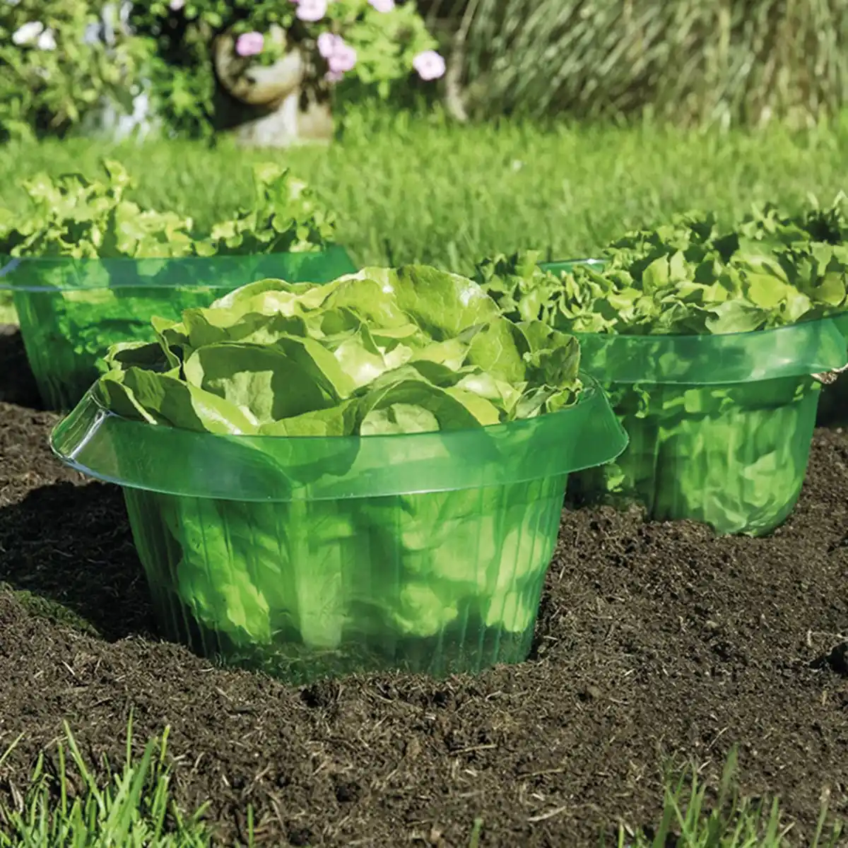 Bild 1 von Powertec Garden Schneckenschutzringe 6er-Set