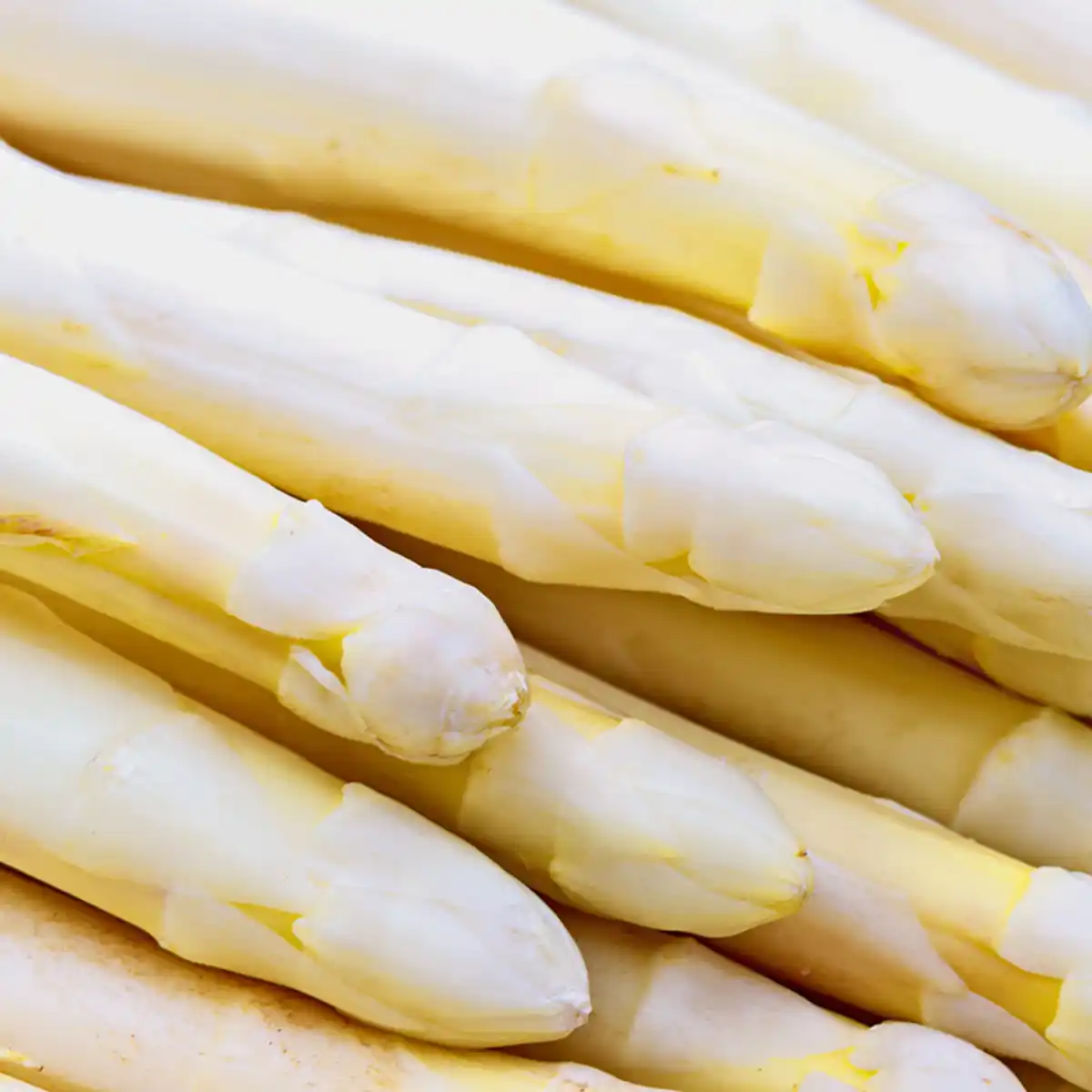 Bild 2 von Deutschland Deutscher Spargel