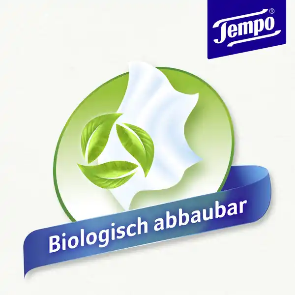 Bild 2 von Tempo Tachentücher Trio-Box