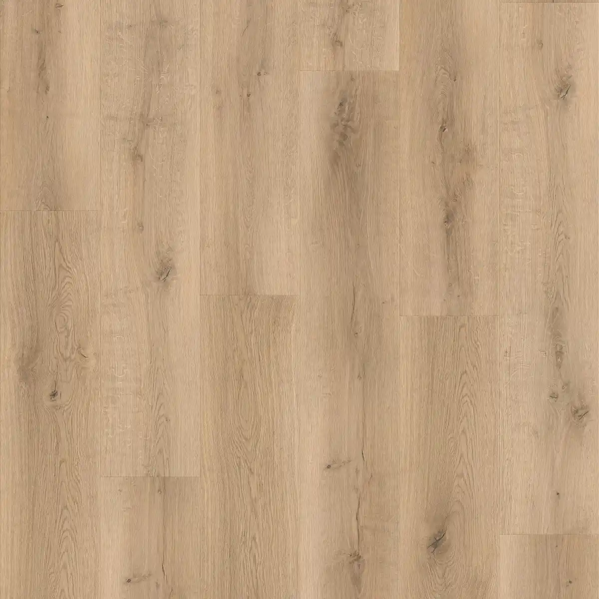 Bild 1 von Klick-Vinylboden Landhausdiele Eiche Torsby mit Kork-Trittschalldämmung