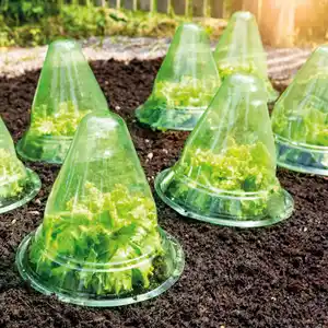 Powertec Garden Pflanzhut 10er-Set