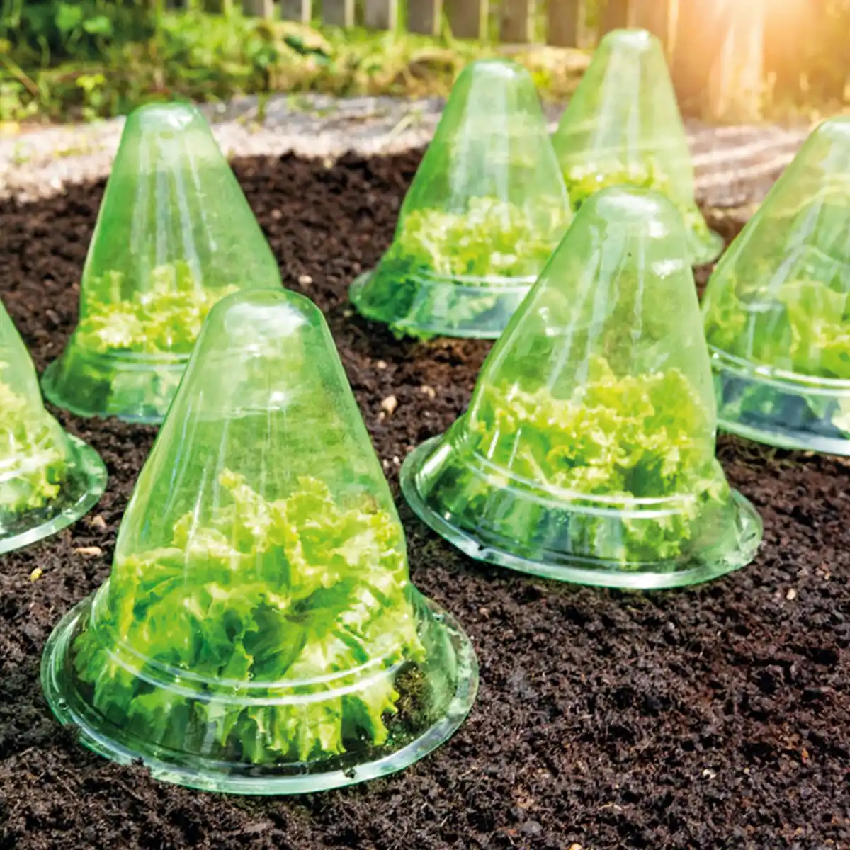 Bild 1 von Powertec Garden Pflanzhut 10er-Set