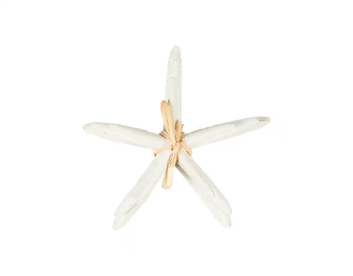 Bild 1 von Deko-Seestern