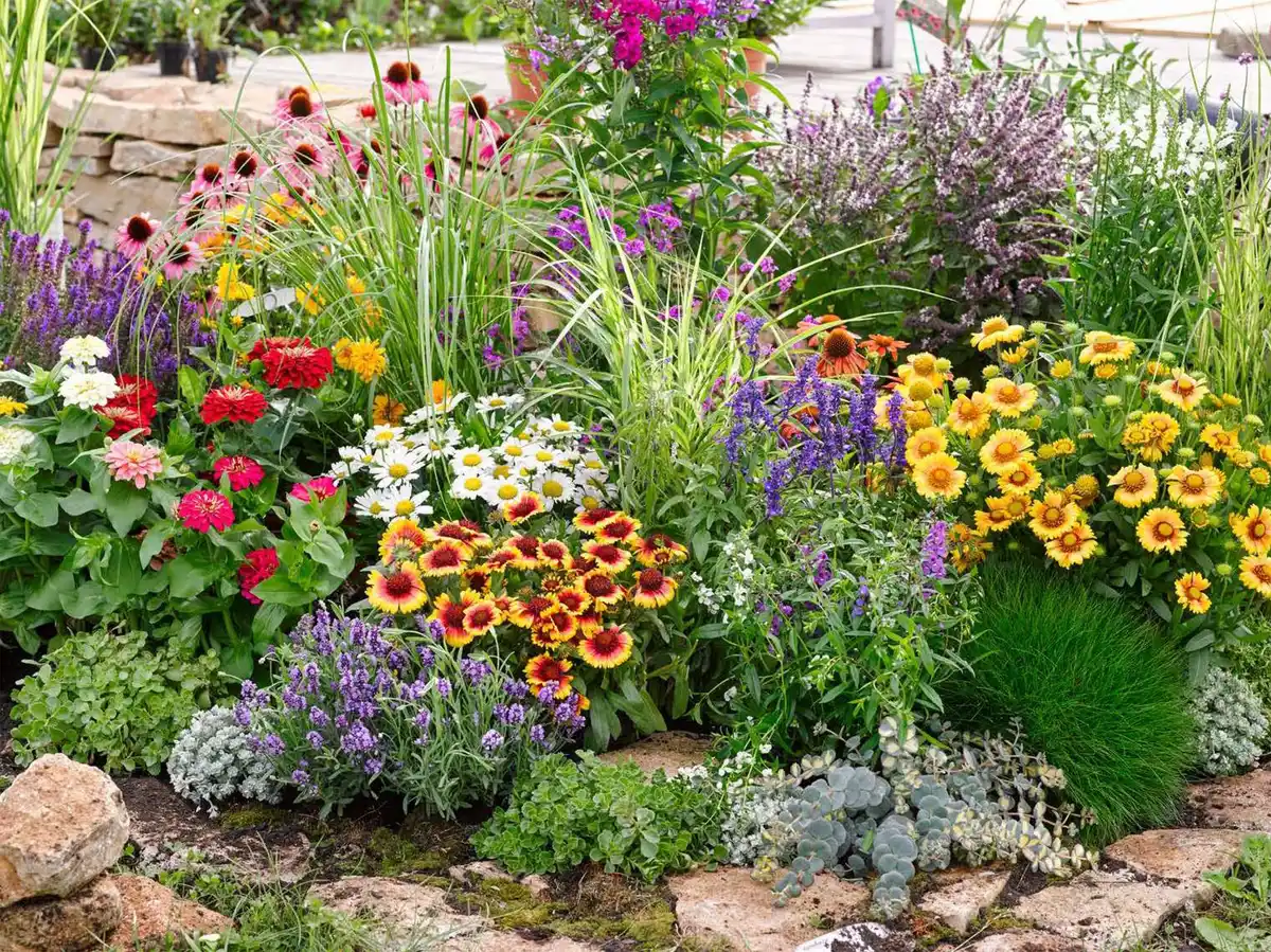 Bild 1 von Stauden Gartensortiment Mix 17 cm Topf