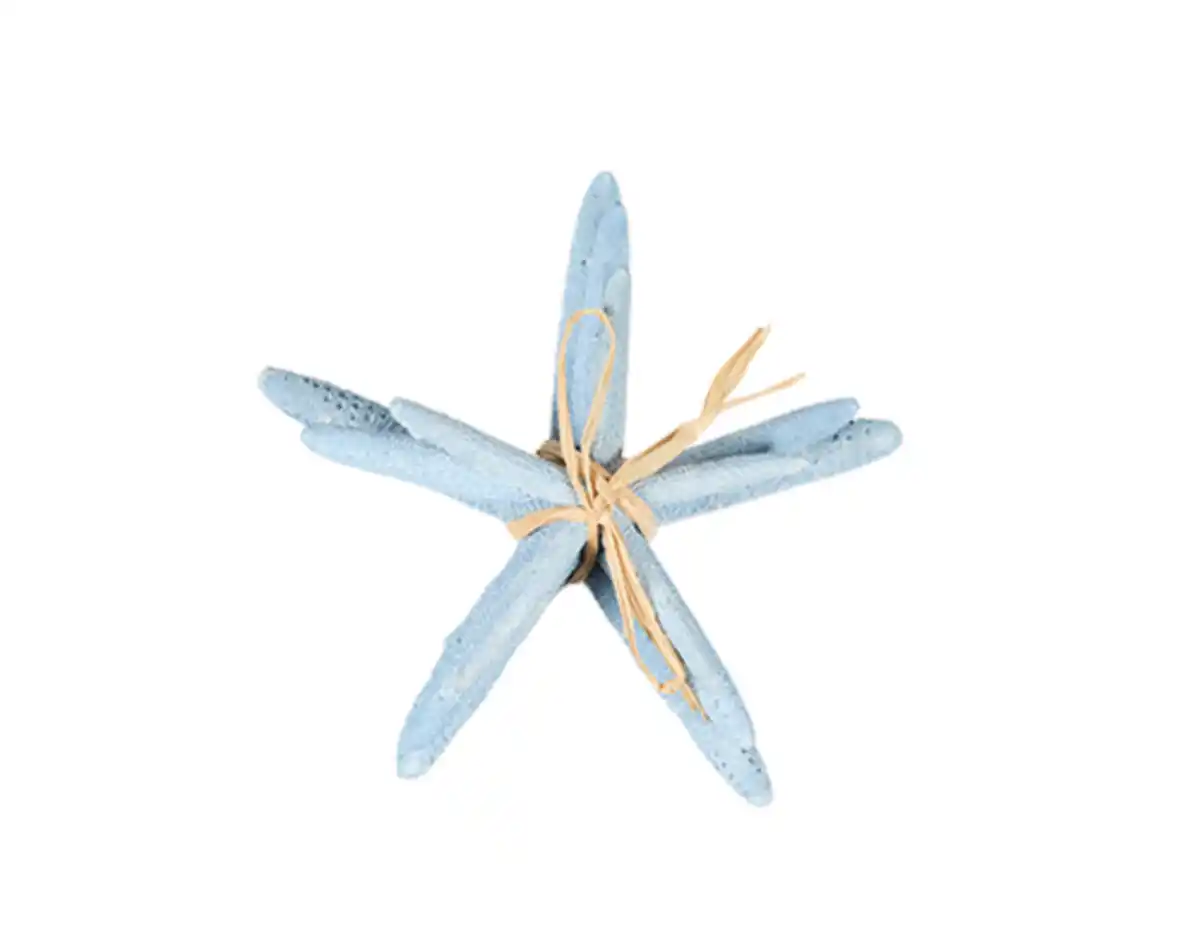 Bild 2 von Deko-Seestern