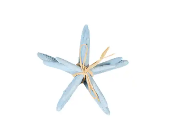 Bild 2 von Deko-Seestern