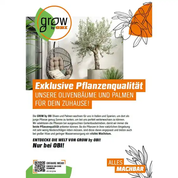 Bild 2 von GROW by OBI Palme Sortenmix Höhe 60 - 80 cm Topf-Ø ca. 20 cm