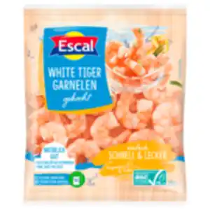 Escal White Tiger Garnelen