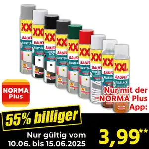 Baufix XXL-Sprühlacke